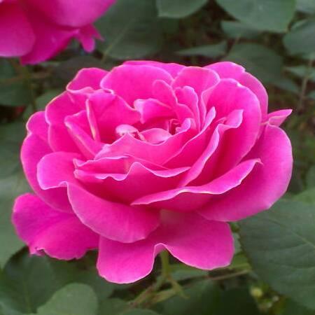 追忆🌸似水年华