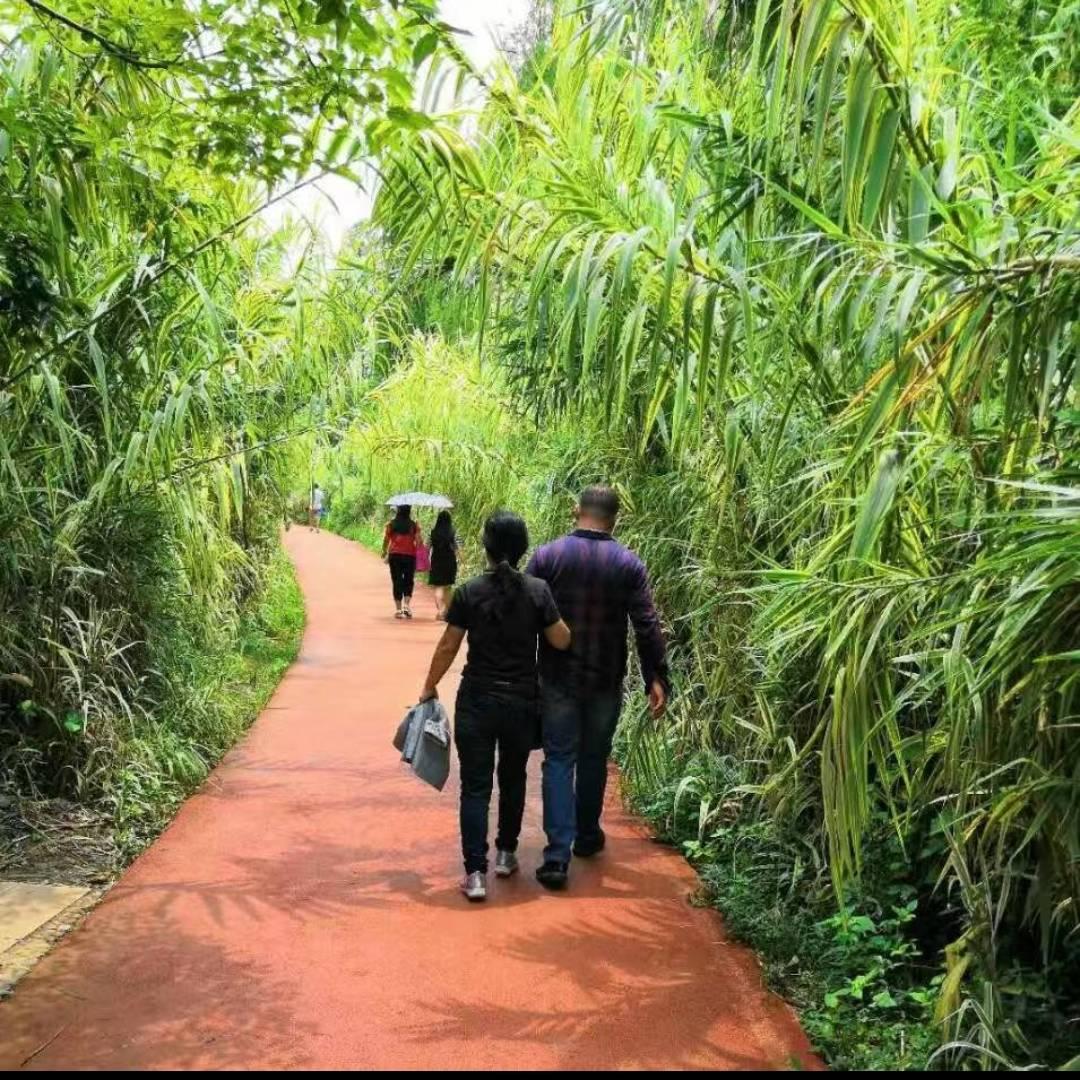 追求一生的幸福,