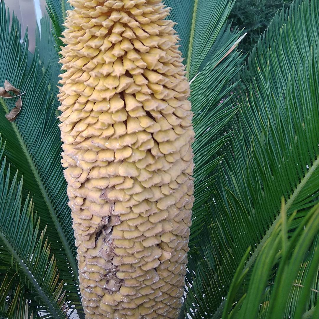 用户35402985好心情