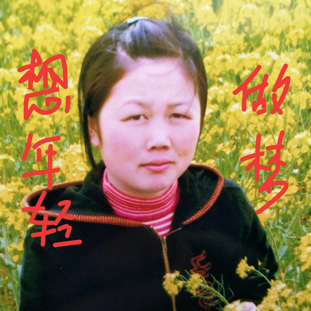 书红修电车