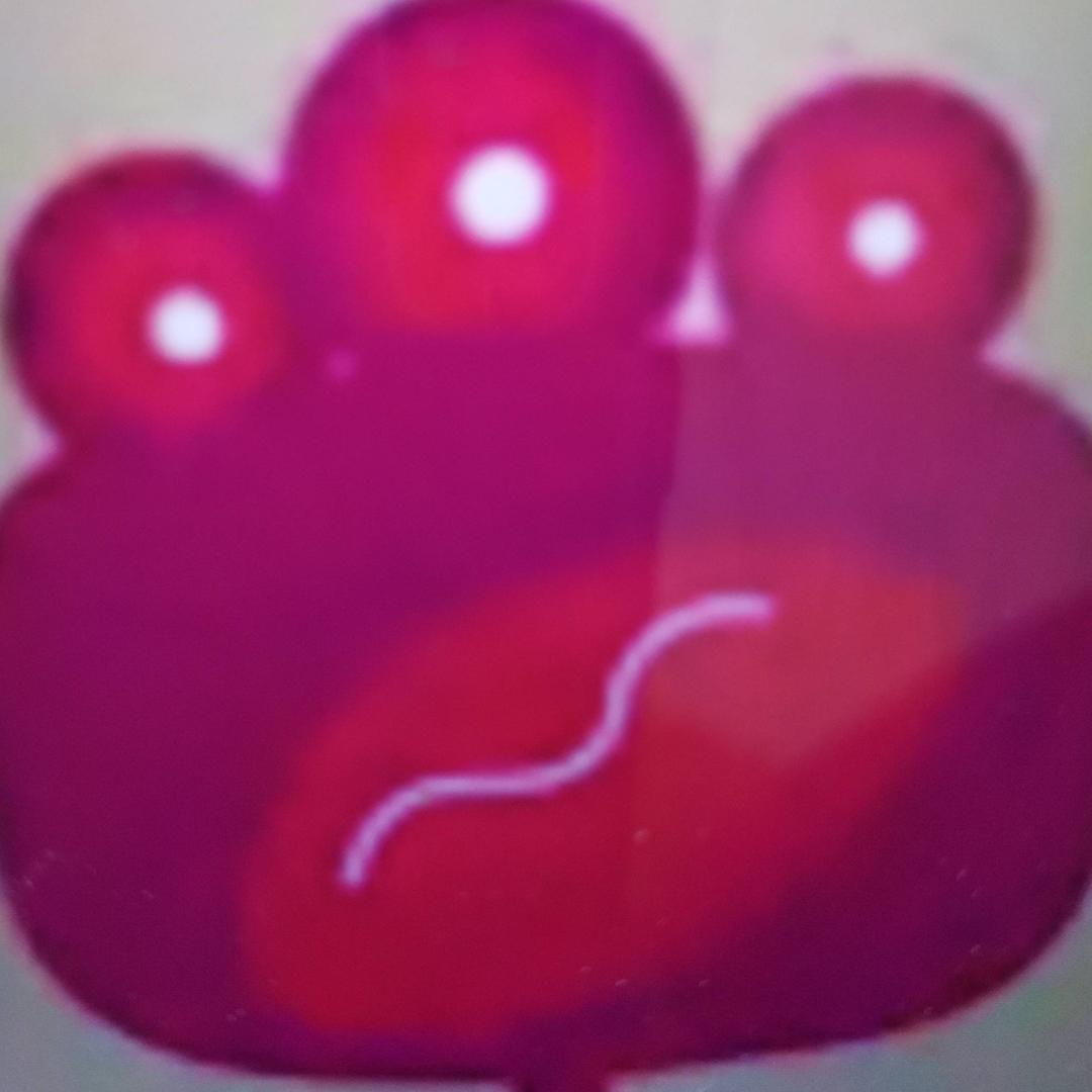 爱拼才会赢✌✌✌