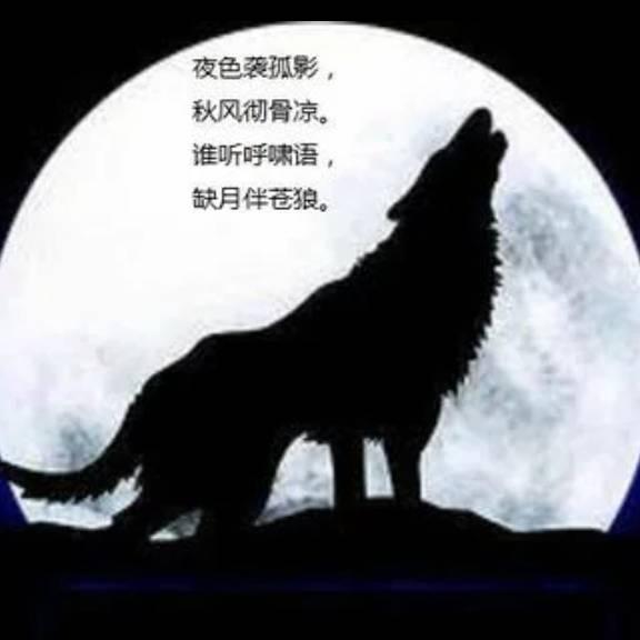 啸月🌙