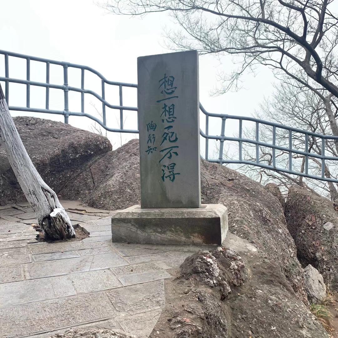 🌚如意如意顺我心意