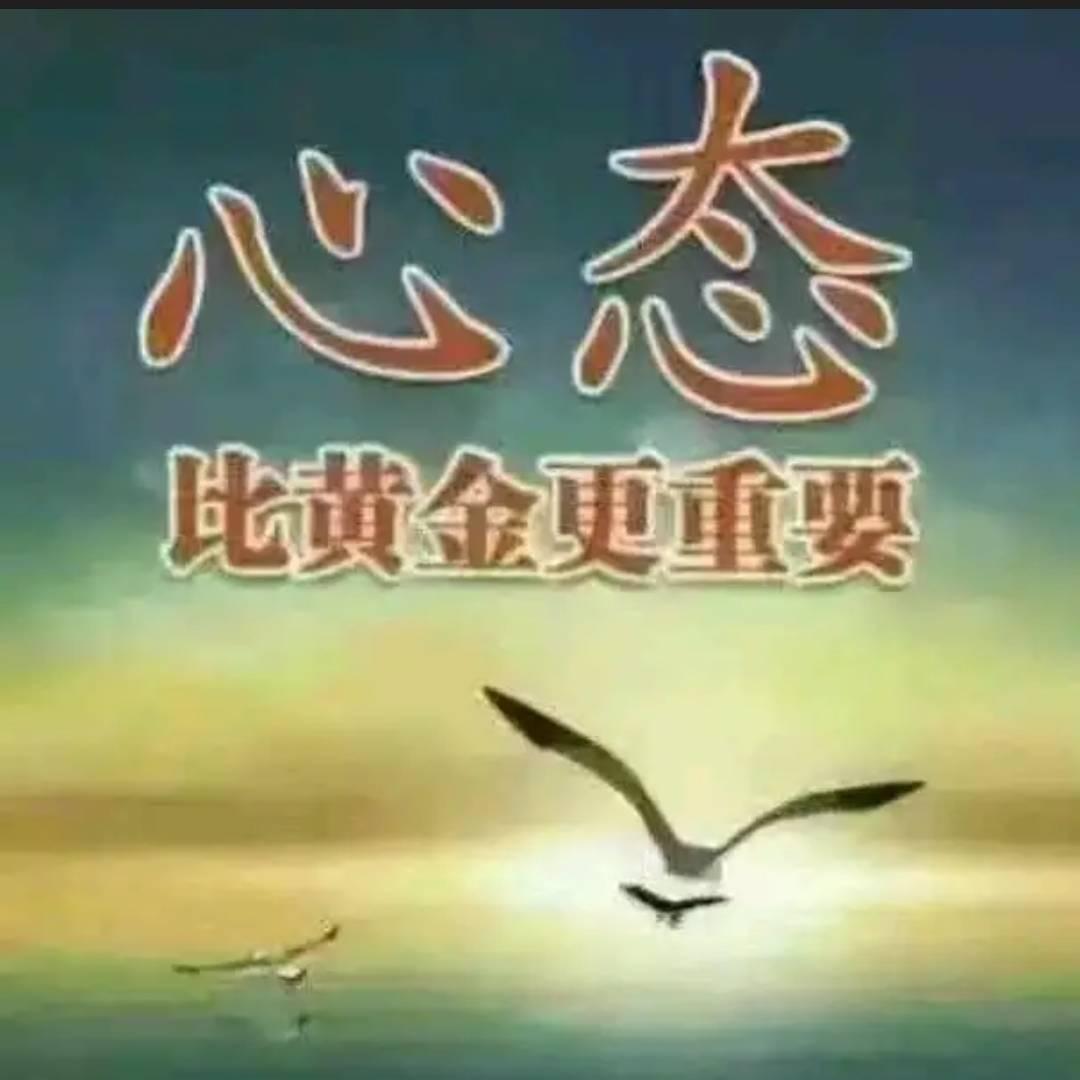 宁静港湾