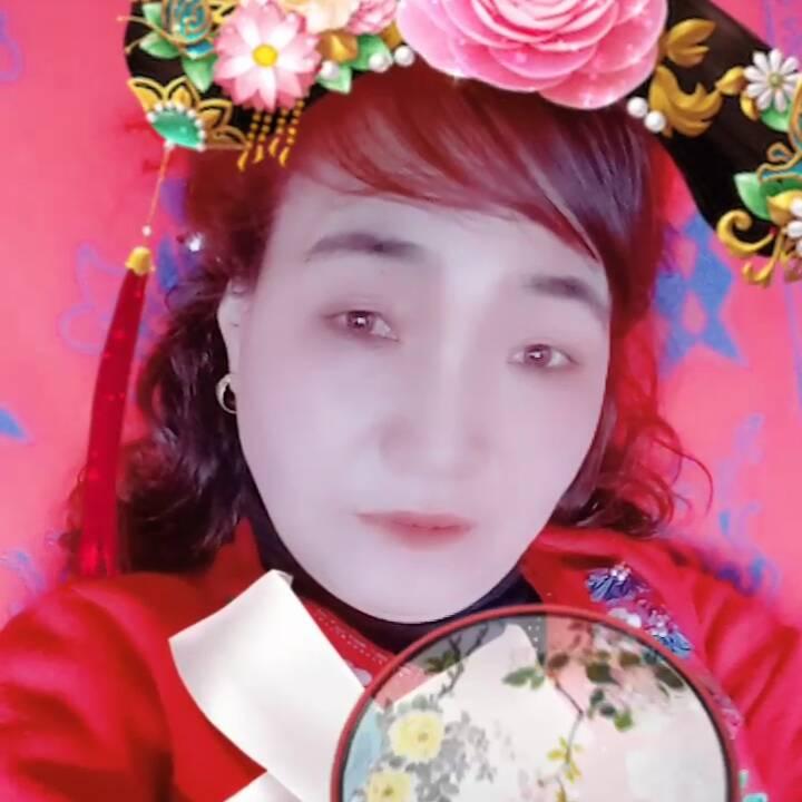 梅兰竹菊8686