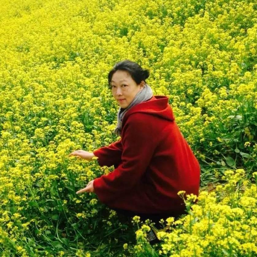 小龙马兰