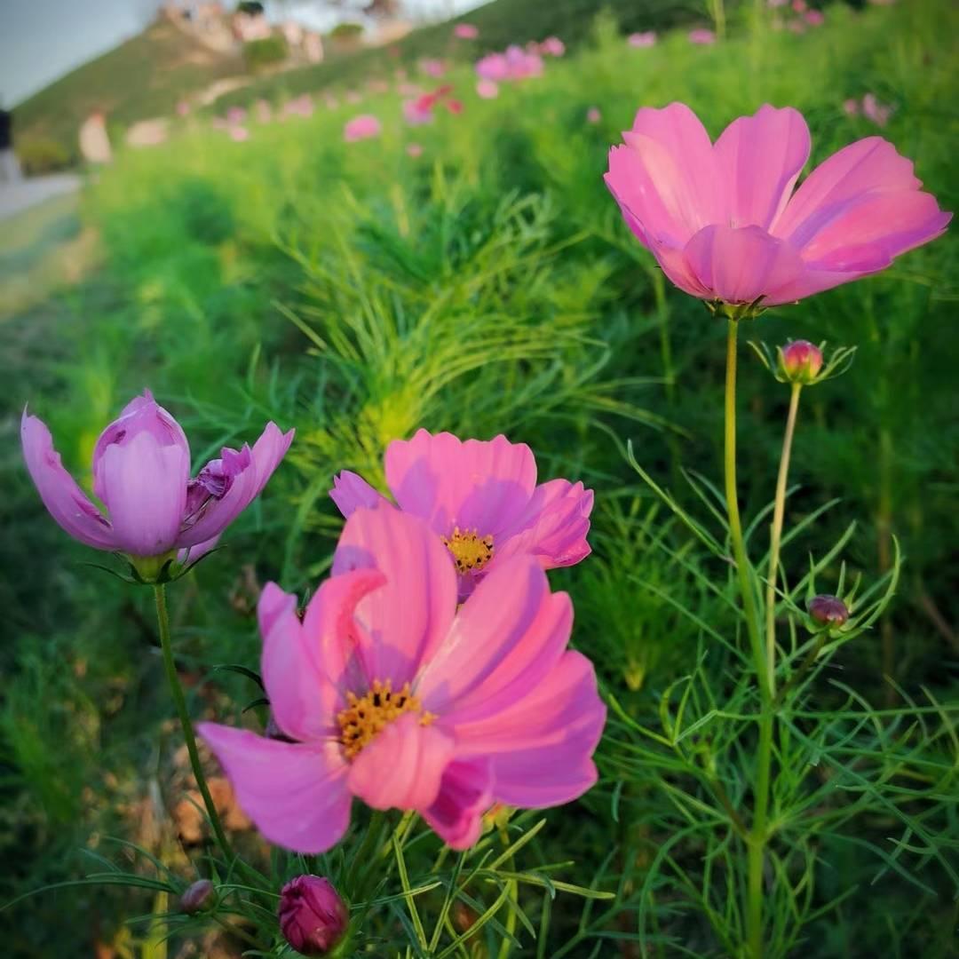 笑看人生百态（郑路希瑞保真）