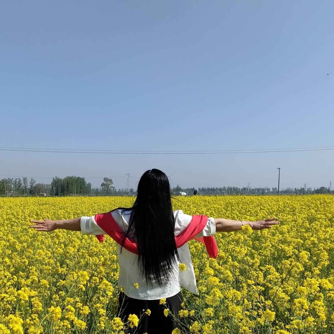 戏迷白牡丹。