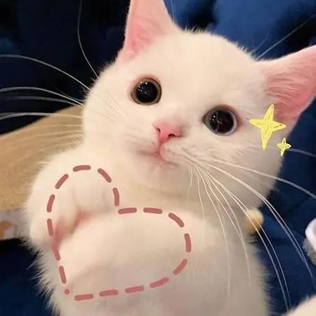 活着就得奋斗