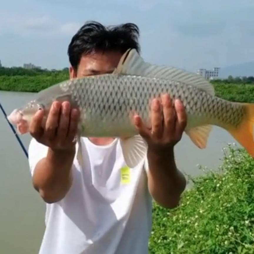 陈小小小胖