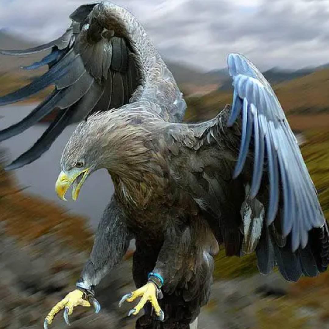 🔥馭電@追風雨