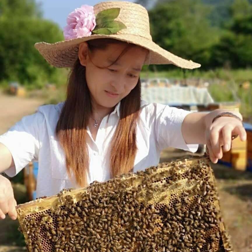 蜂情万种