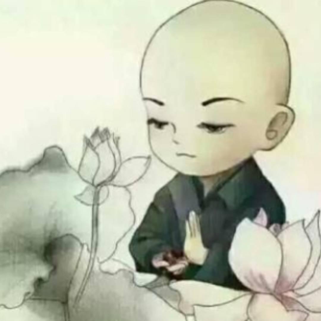 ✨随缘✨