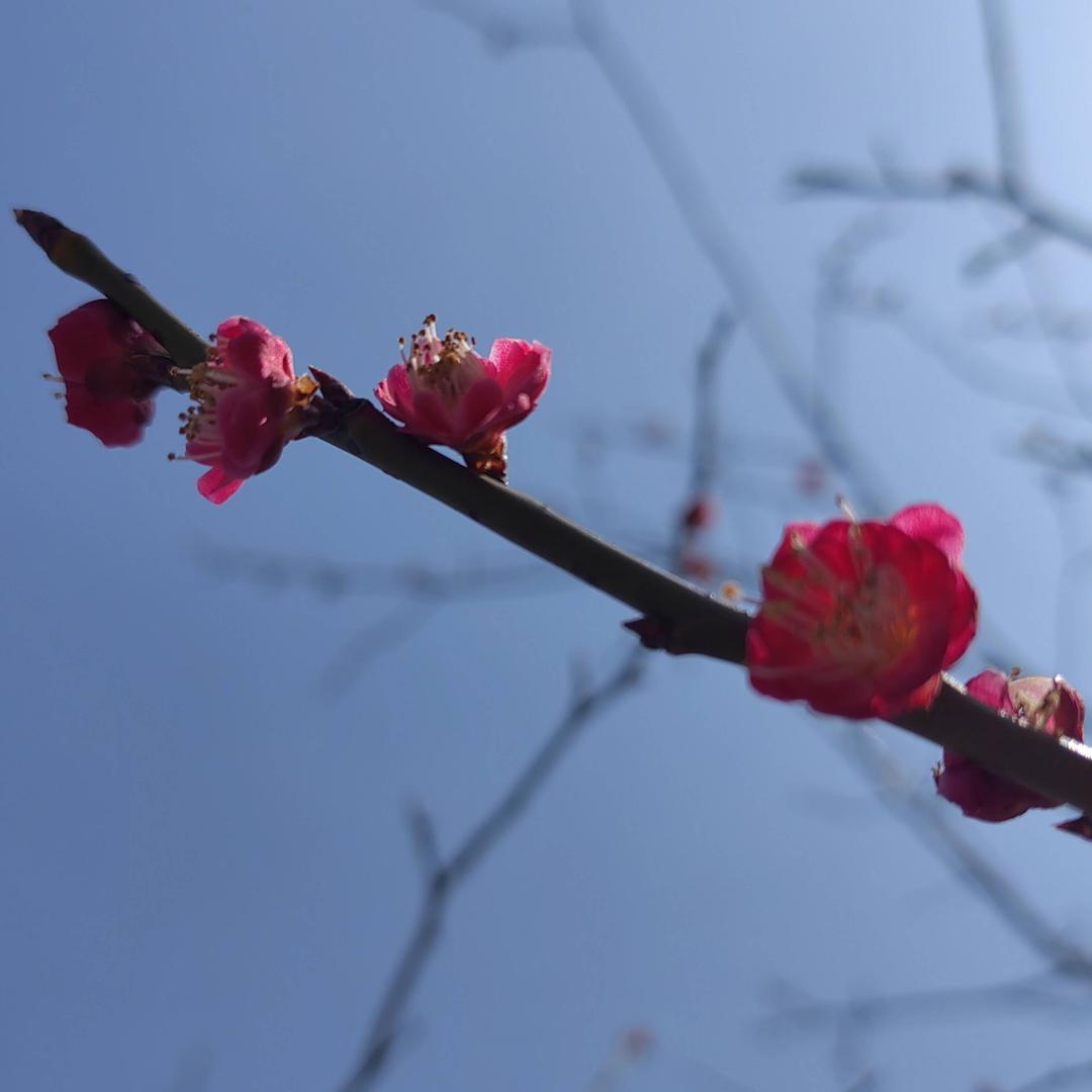 🍭一切都是最好的安排🍭