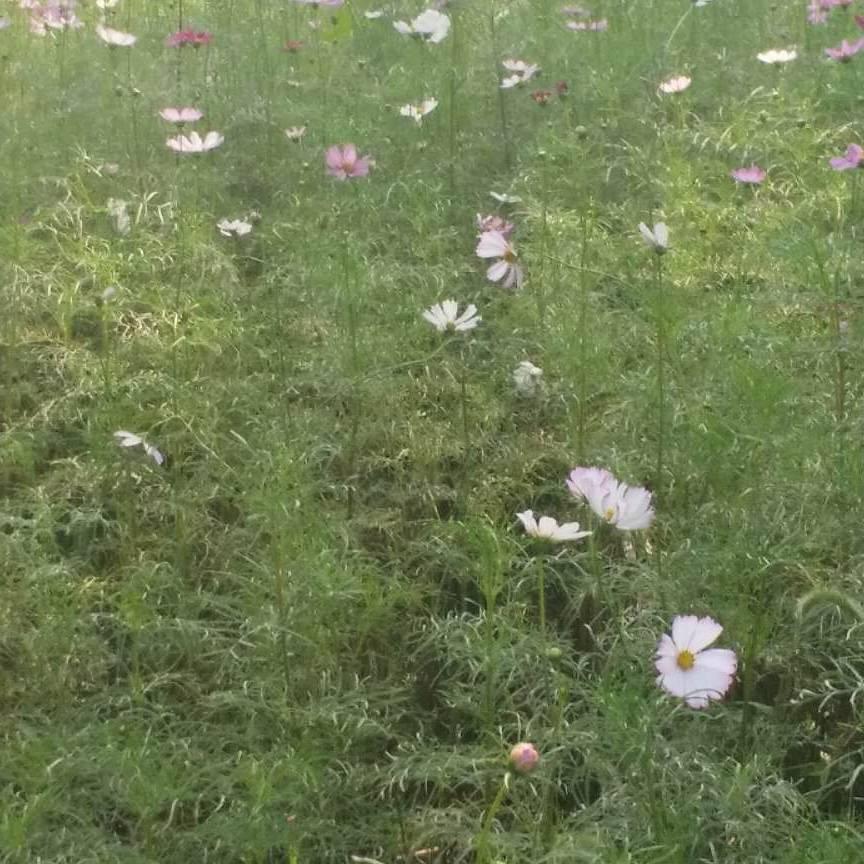 笨人𝐐1𝟑𝟗𝟓𝟖𝟗𝟐23