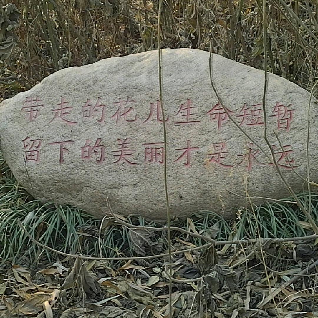 沉默不语的孤独
