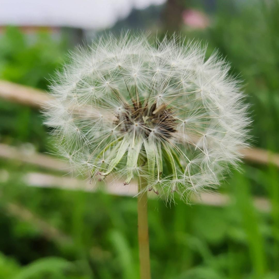 走进云里的风