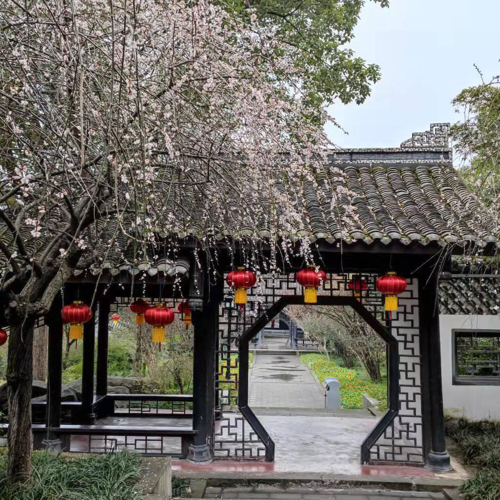 空运出口头程运输 俄罗斯欧美东南亚中东等