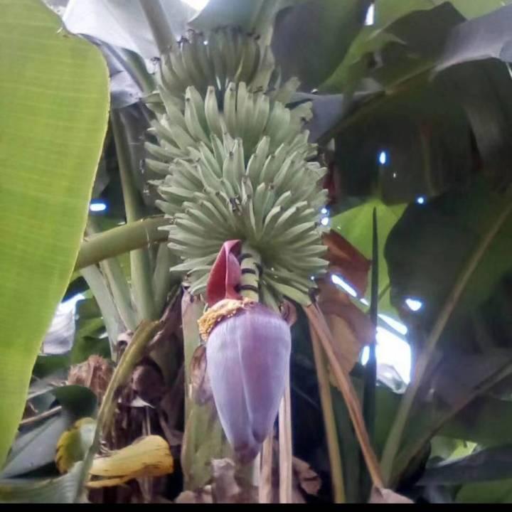 一生有你