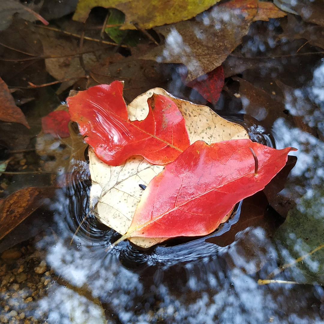 没事来转转_2333