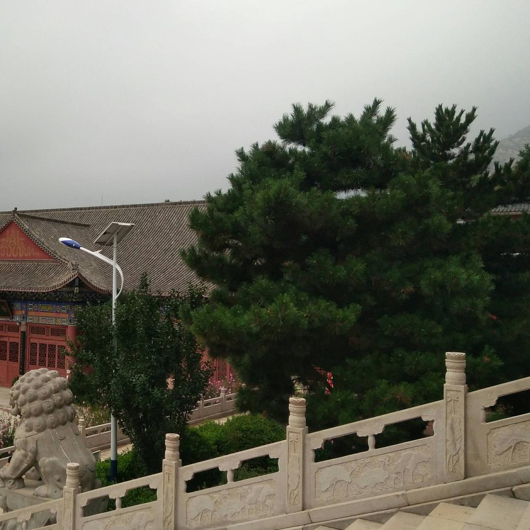 简单🌴