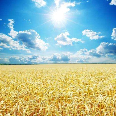 如意生活小妙招