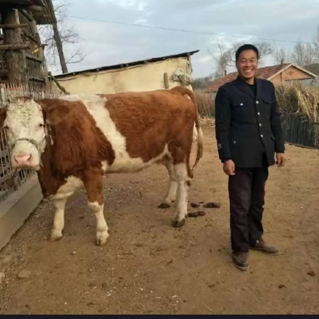 做人要守诚信张