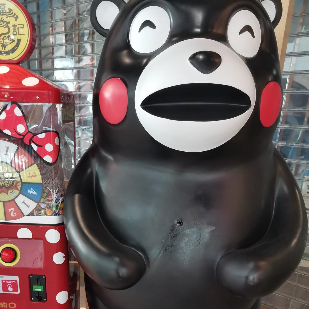 只为遇见你