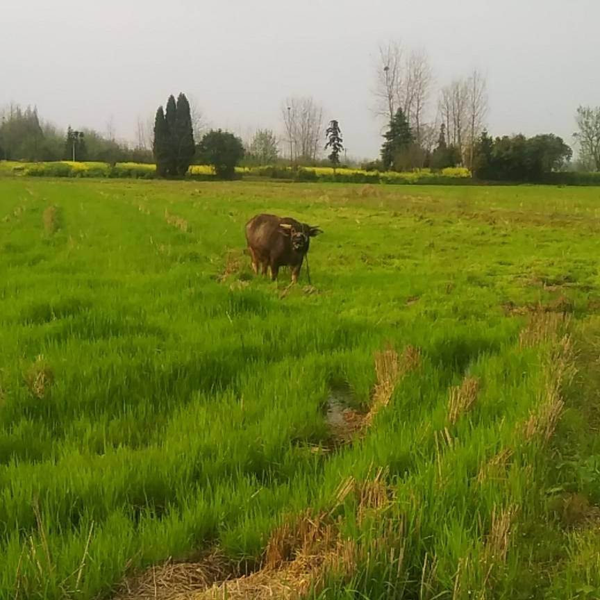 风无影而山有型