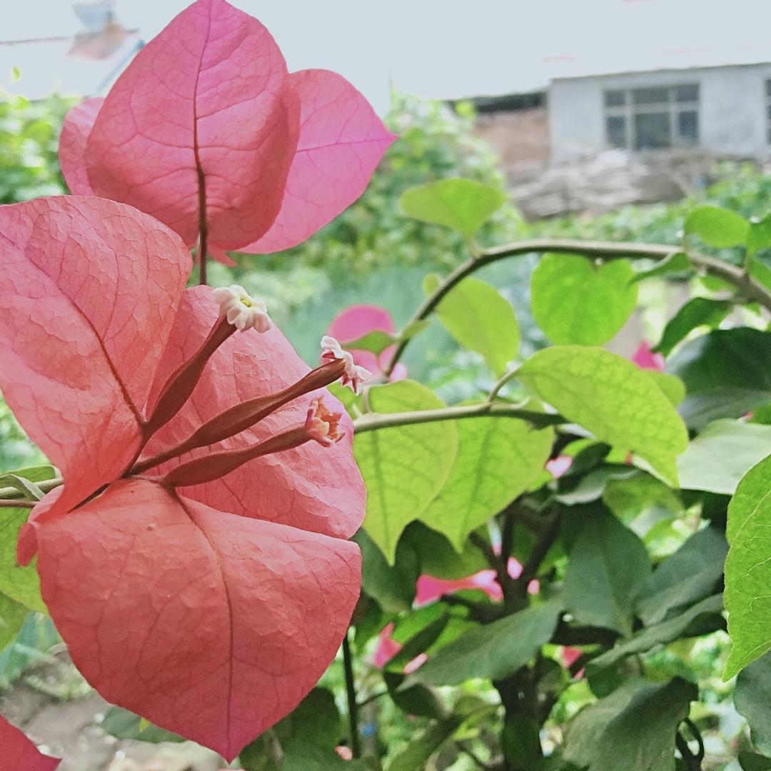 晚霞2000611