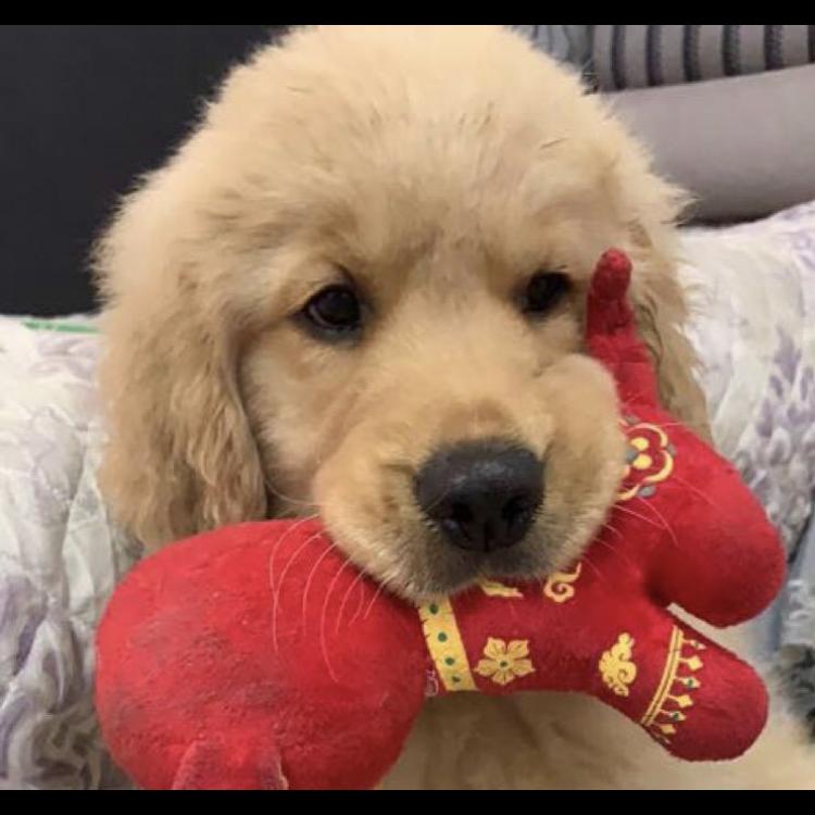 ❤️家有二宝❤️