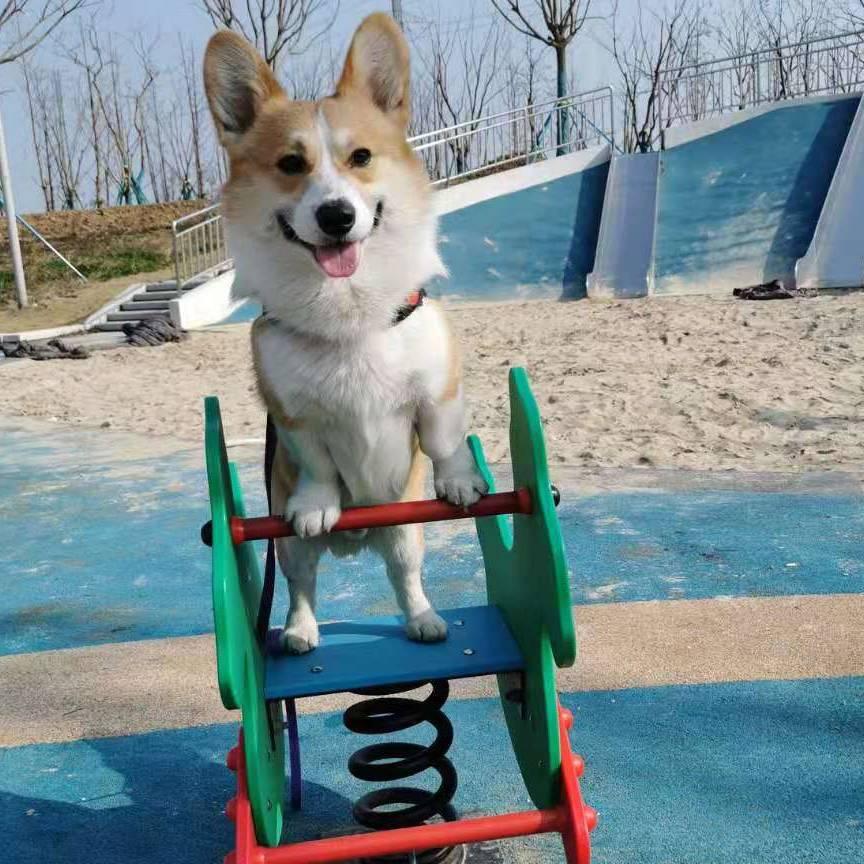 涂涂乐