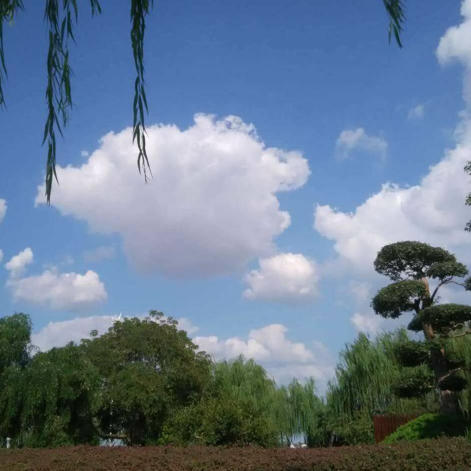 万水千山总是情899