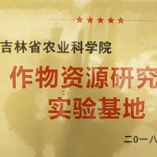 吉林省农科院谷子高粱