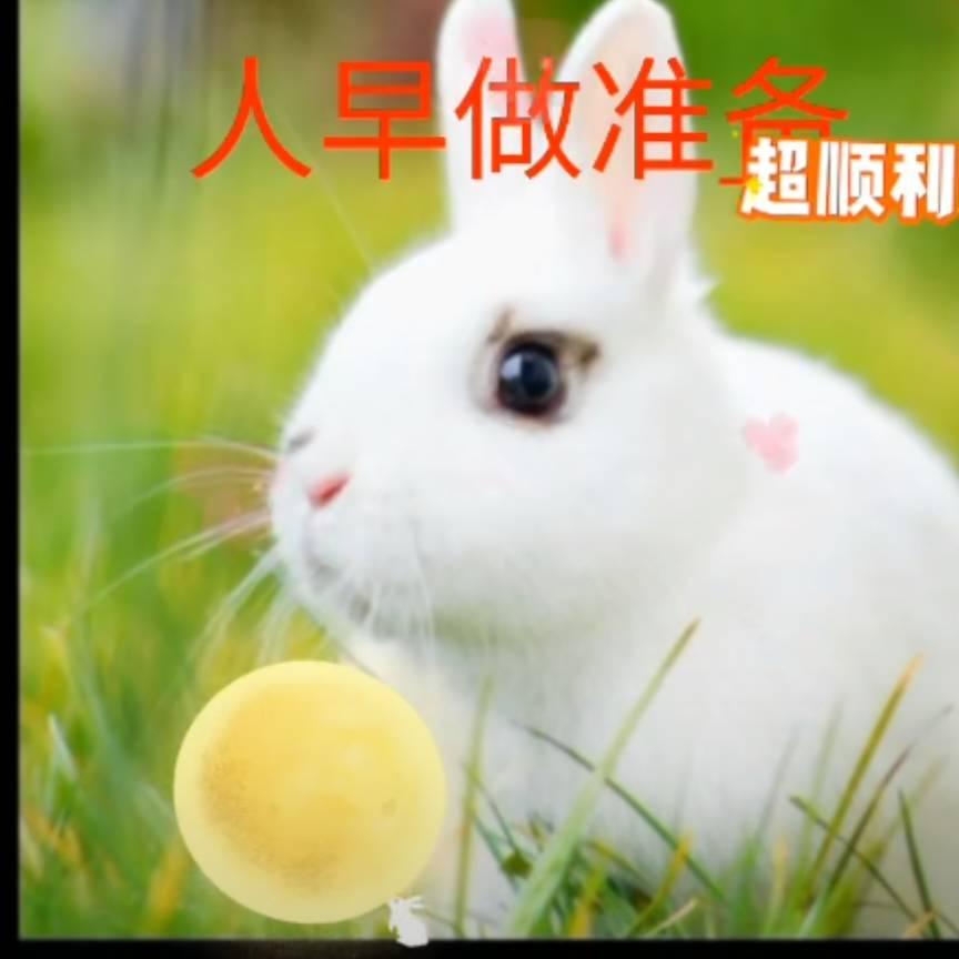 幸福人生420451