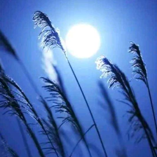 晓风明月☀