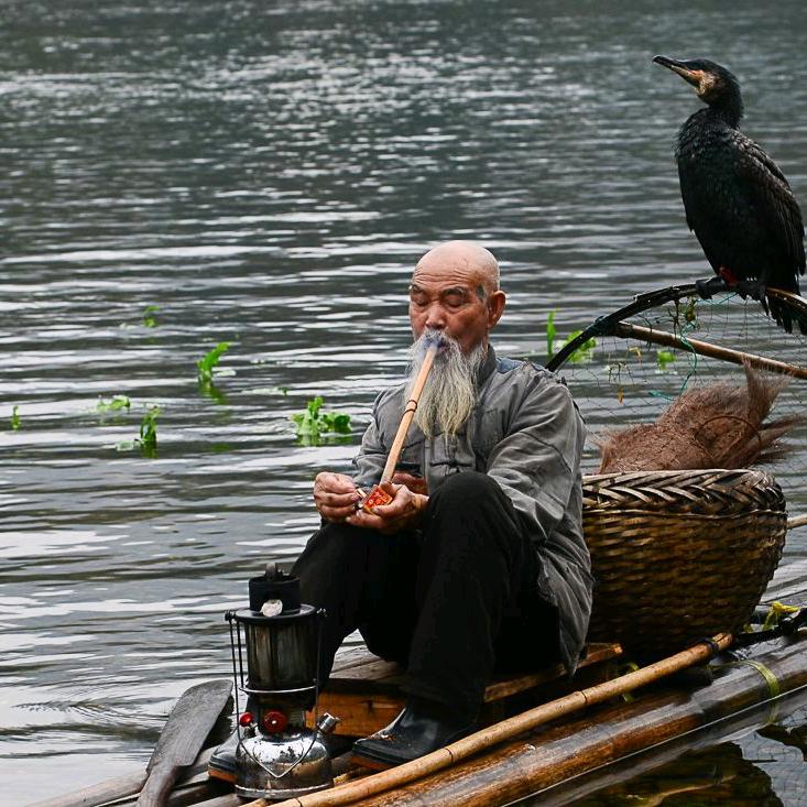 相忘于江湖