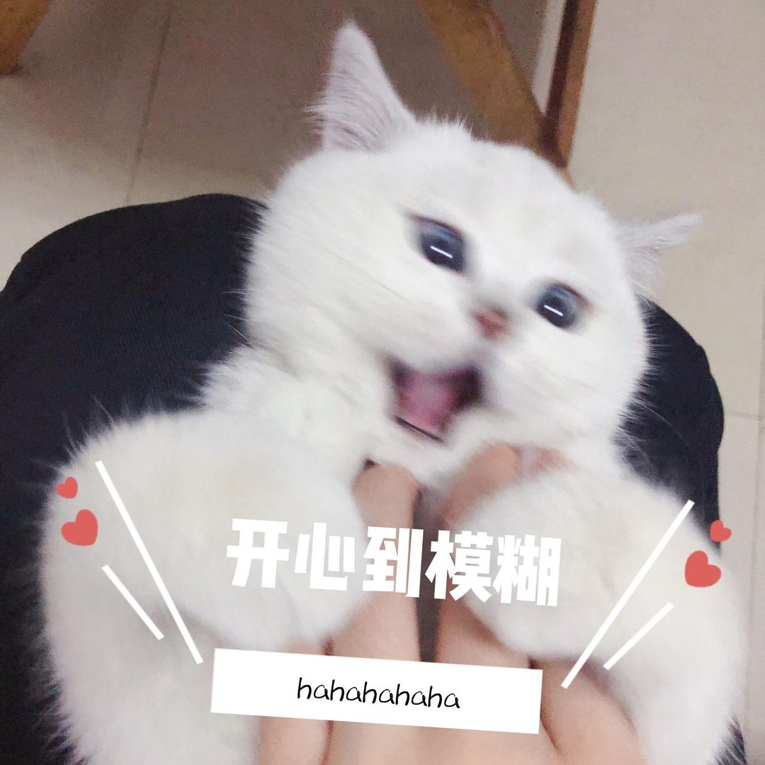 是你你你的益达