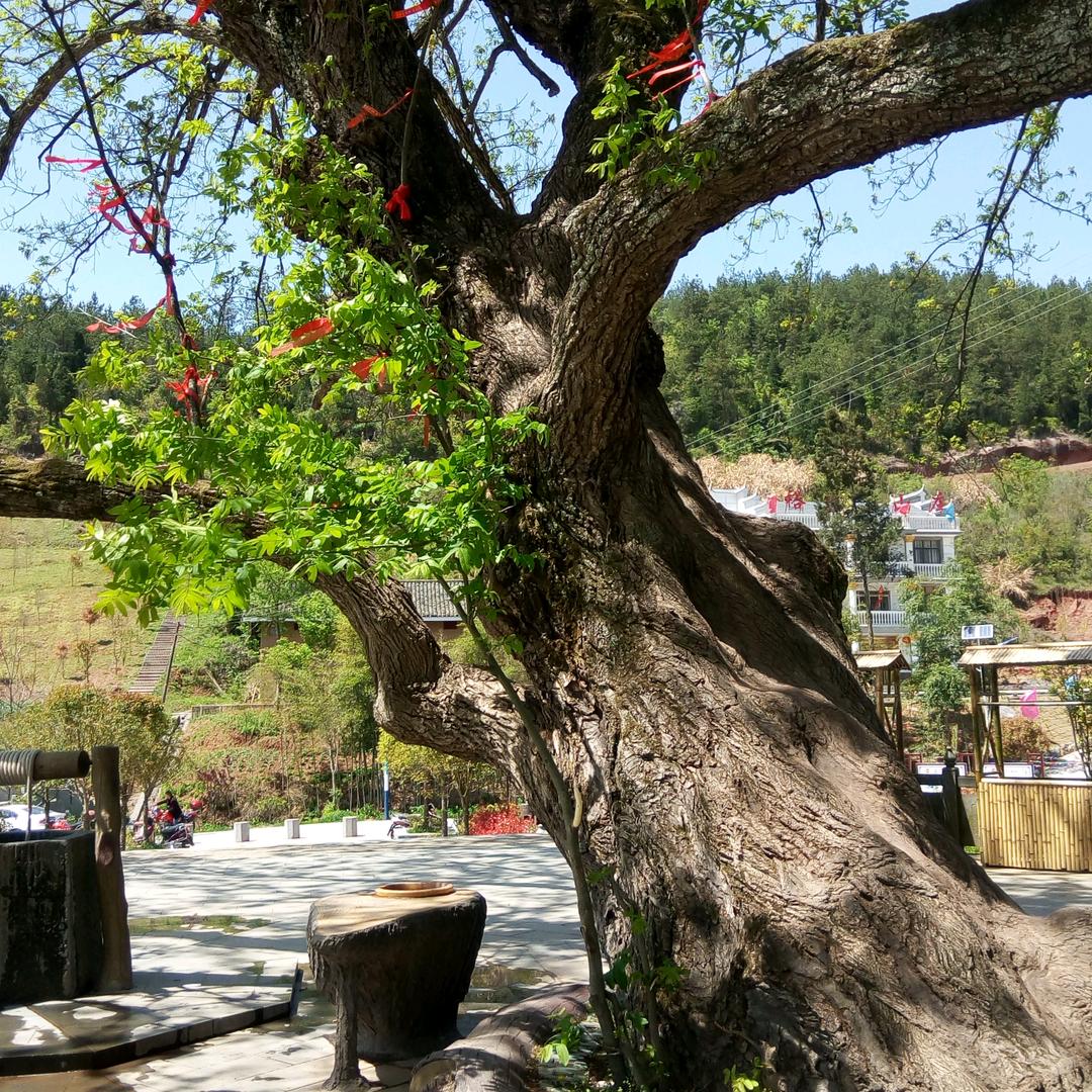 指尖沙