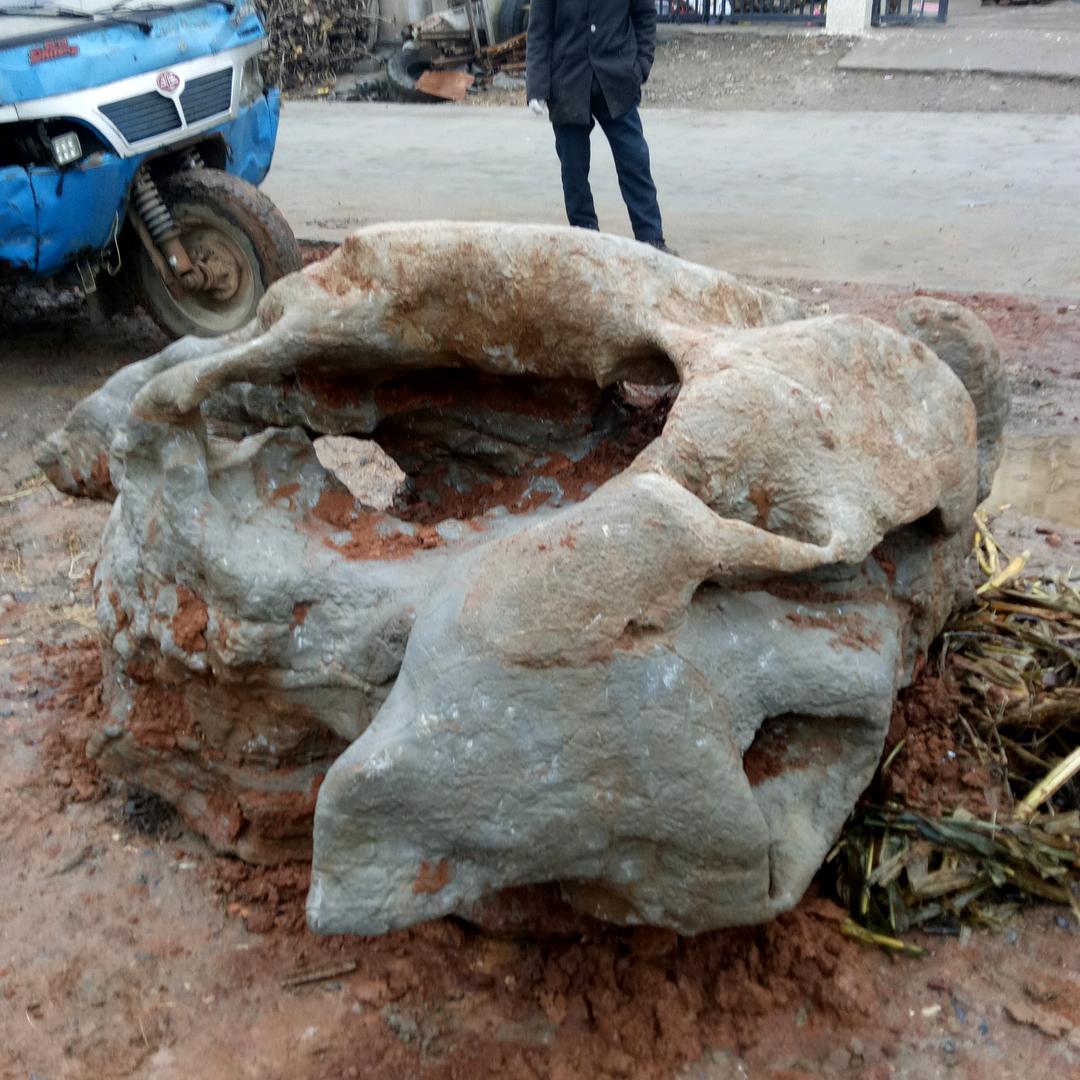 寒风孤树鸟一只