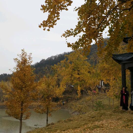 凉凉@