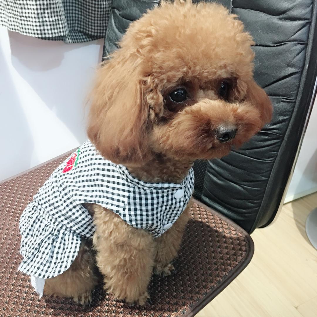 《一身缘女装》滚滚妈咪