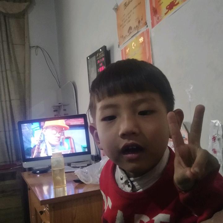 干精装的景颜