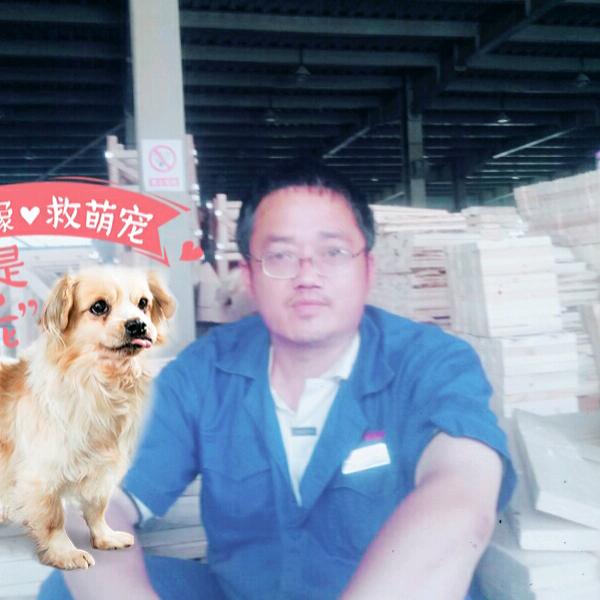 伤心太平洋