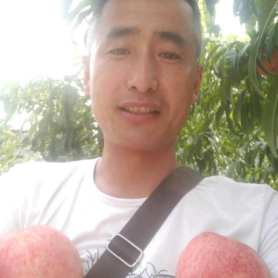 昌乐郑司令瓜果菜专业购销