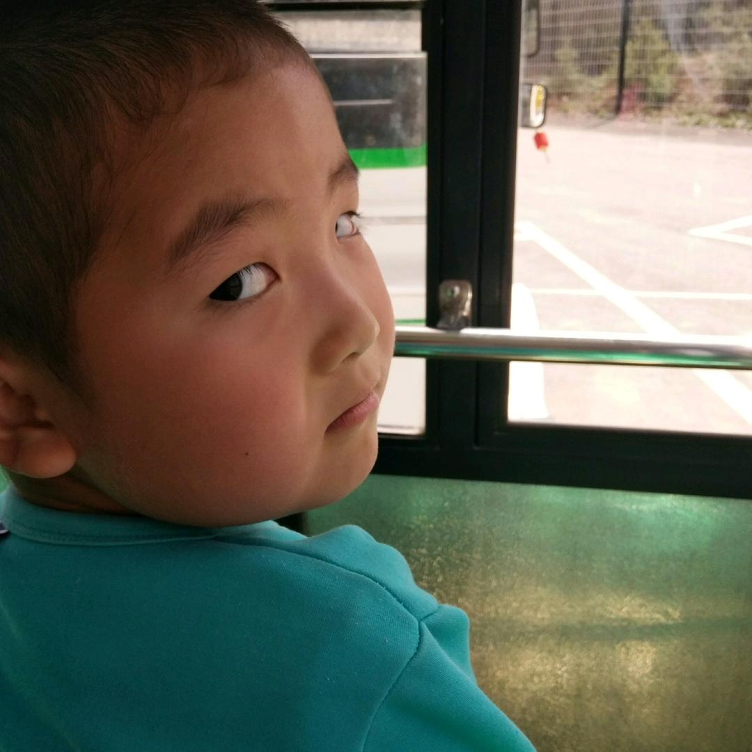 石林(the stone forest）