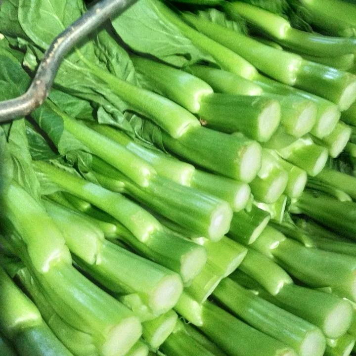 大利云种生菜