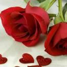 鸭河鱼城～丽丽