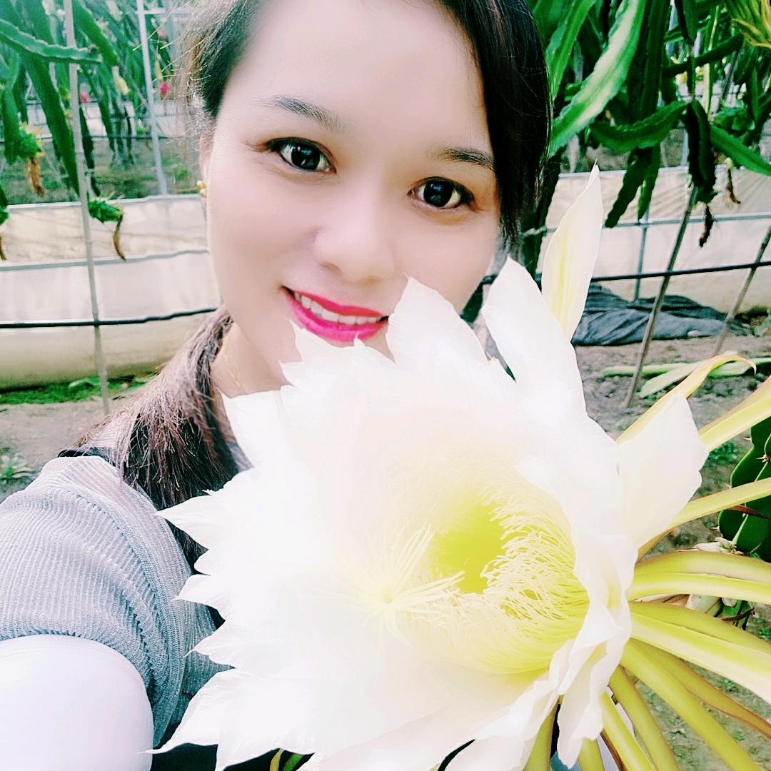 仙蜜火龙果