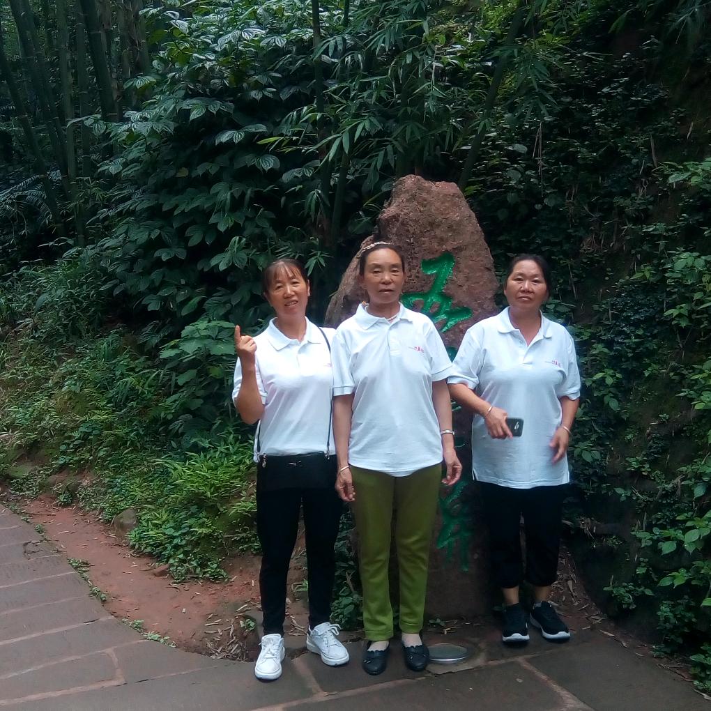 杨四姐